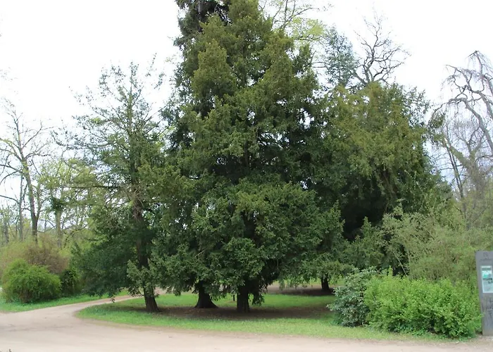 Ferienhaus Luci Quedlinburg