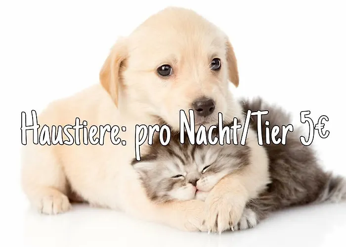 Ferienhaus Luci Semesterbostad