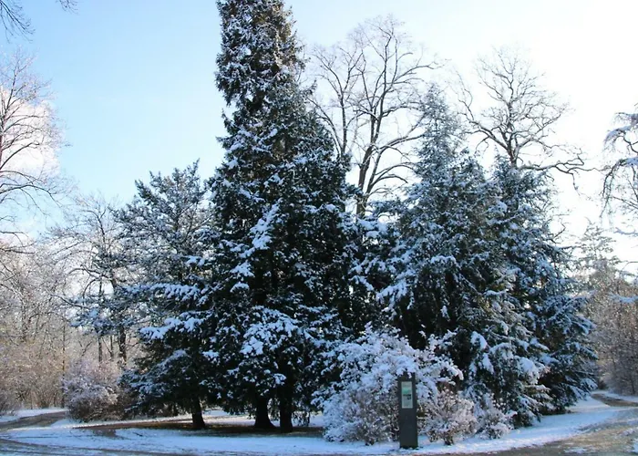 Ferienhaus Luci Semesterbostad *
